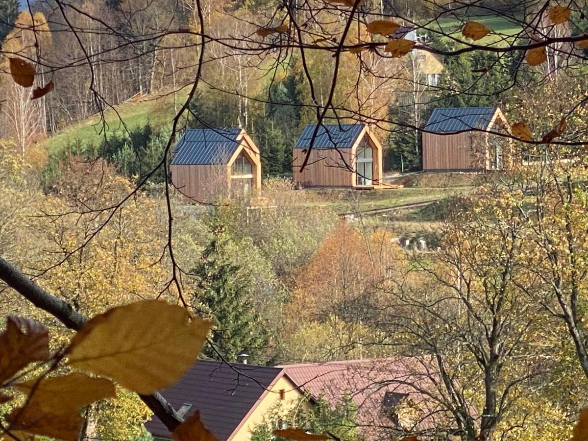 Domki Pod Lasem - Domek Sosnowy Stronie Śląskie Exterior foto