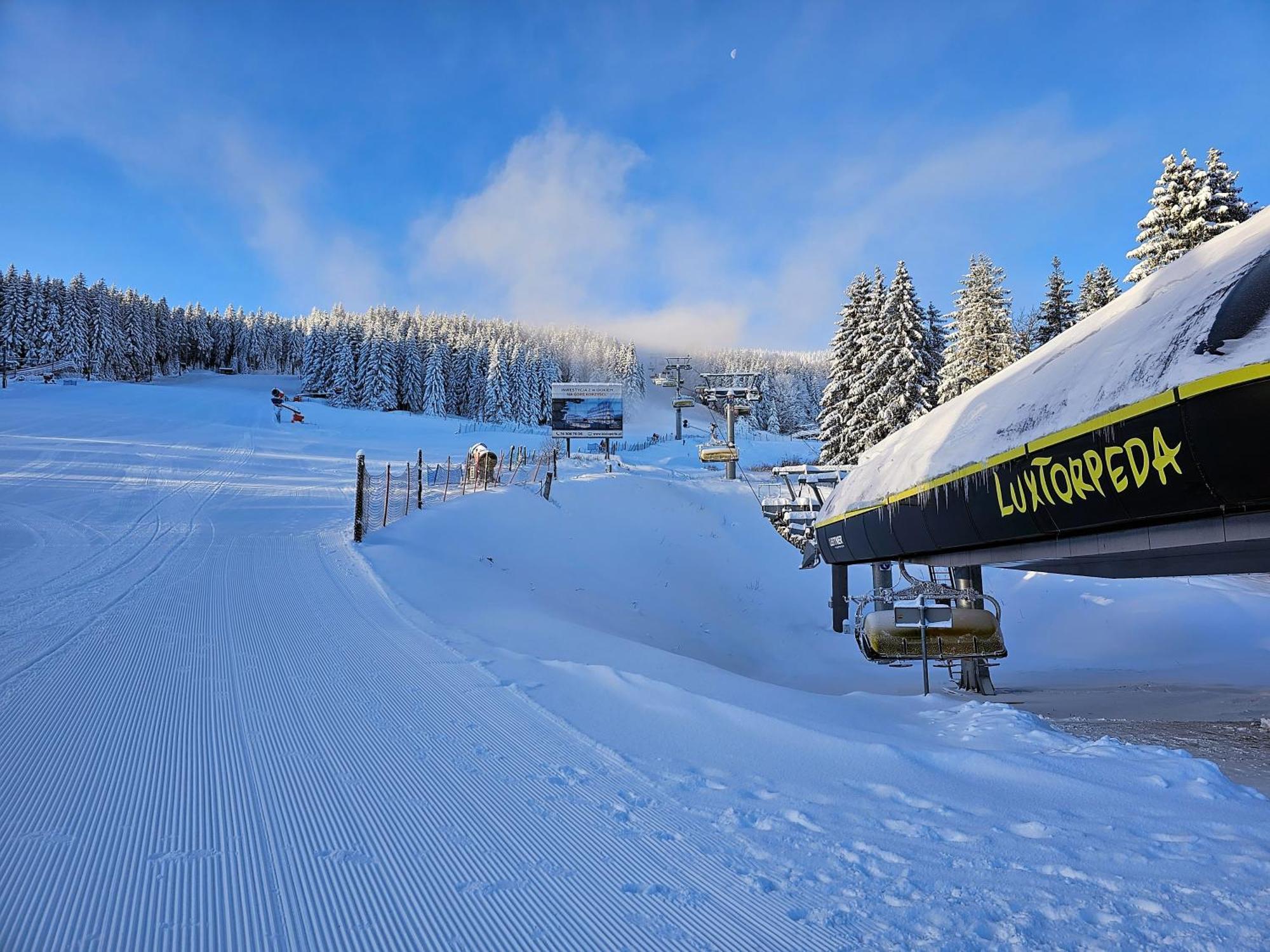 Domki Pod Lasem - Domek Sosnowy Stronie Śląskie Exterior foto