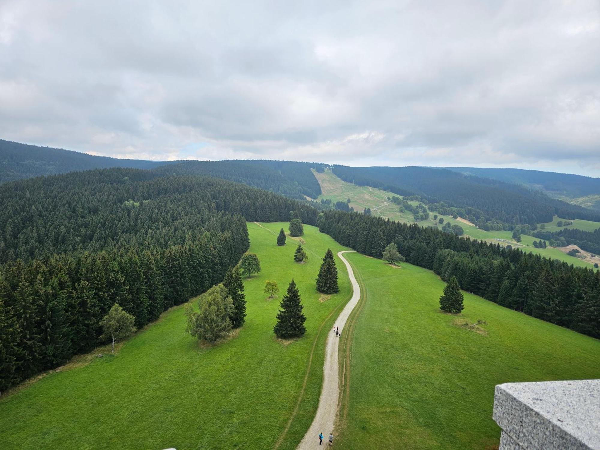 Domki Pod Lasem - Domek Sosnowy Stronie Śląskie Exterior foto